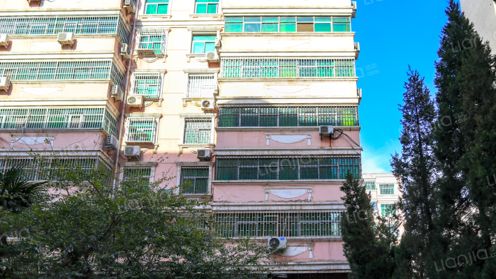 桃园洋房外景图