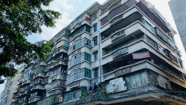 南堤路52号外景图