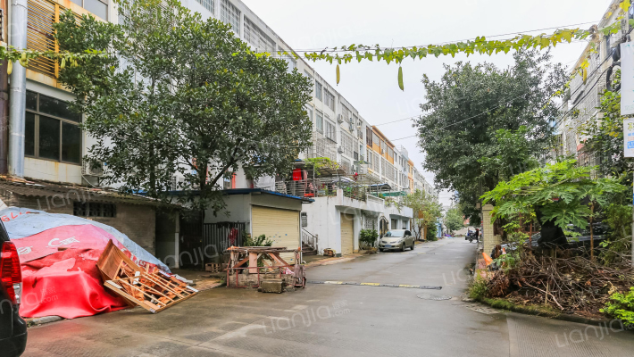 长安金苑外景图