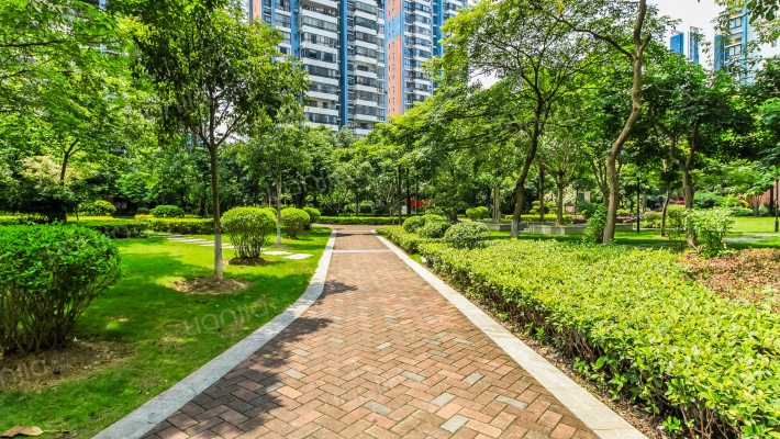 半岛 · 旺角外景图