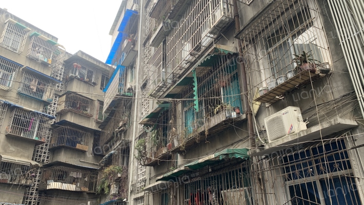 花市巷86号外景图