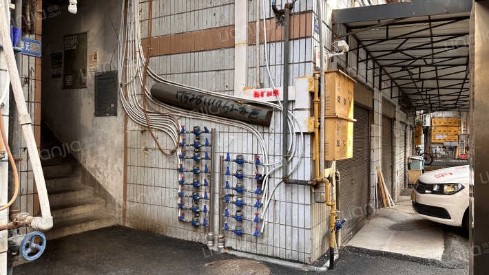 鲤鱼石商住楼外景图