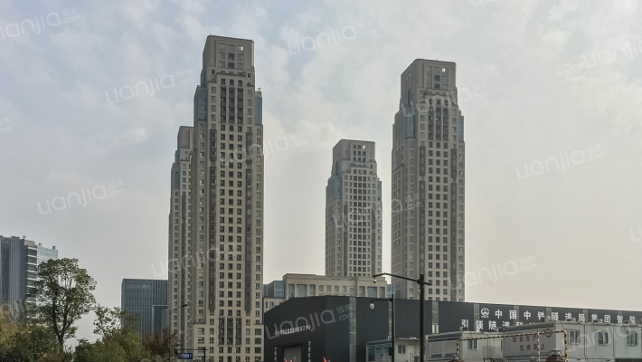 万科大都会79号外景图