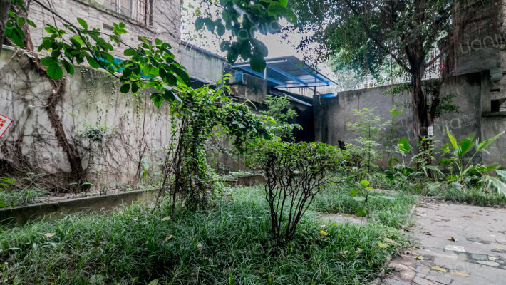 茶亭南路外景图