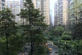 正成拉斐1