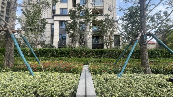 朗悦公园府悦桐苑外景图