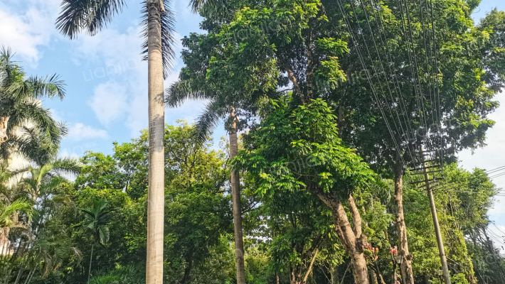 大板三区外景图