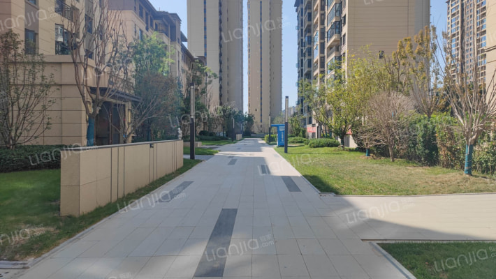 中南林樾外景图