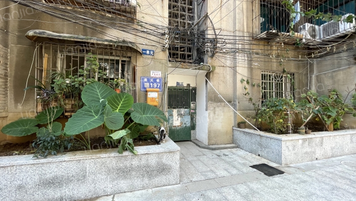遵义巷197号外景图