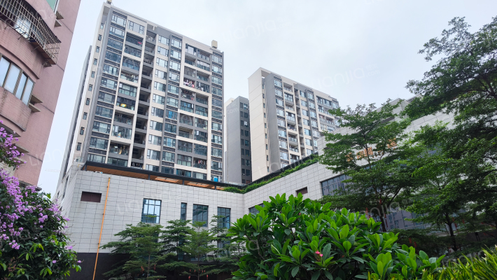 伟腾云星外景图