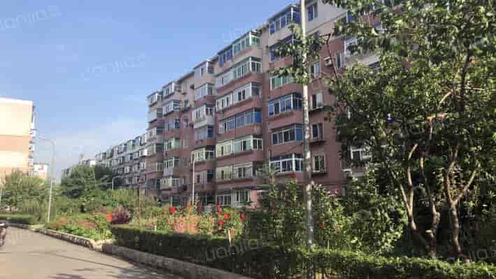 青松社区外景图