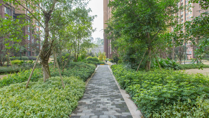 朵力池上春天外景图