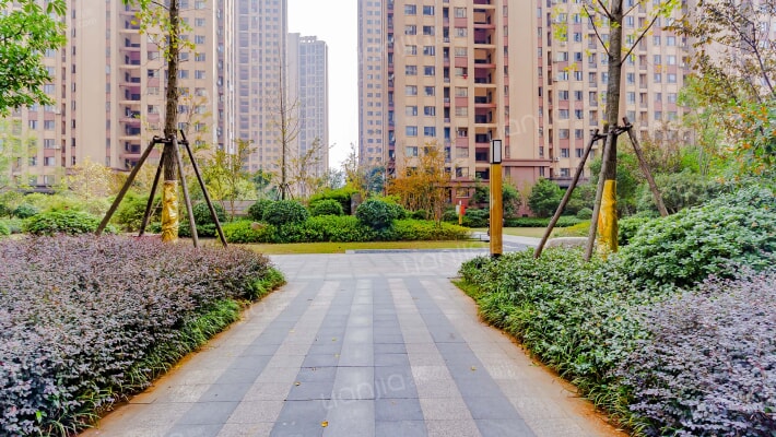 平安光谷春天外景图