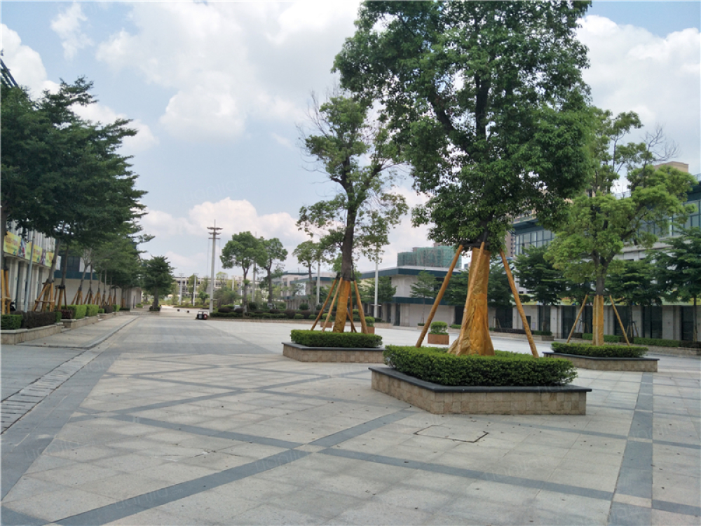 明发国际城图片_明发国际城实景图(泉州链家新房)