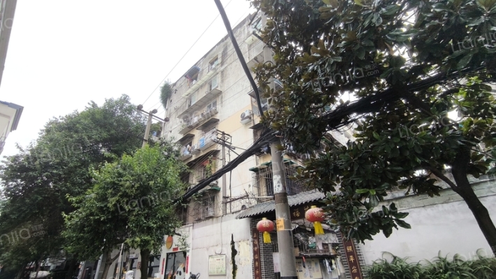 玉通巷4号外景图