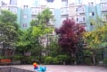 恋日家园G区4