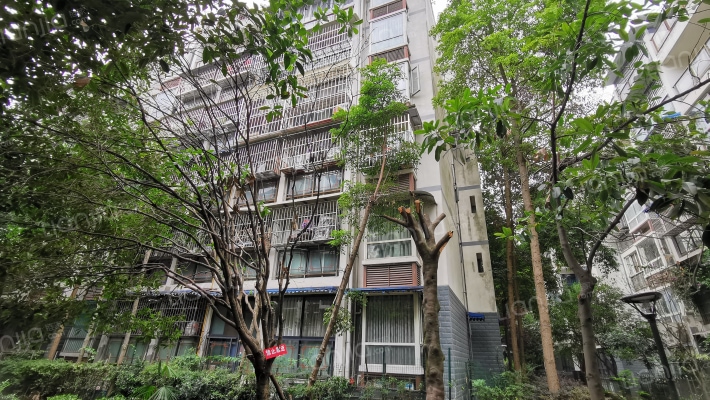 鑫和苑(郫都)外景图