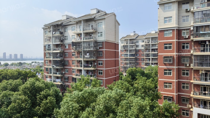 红霞新村外景图