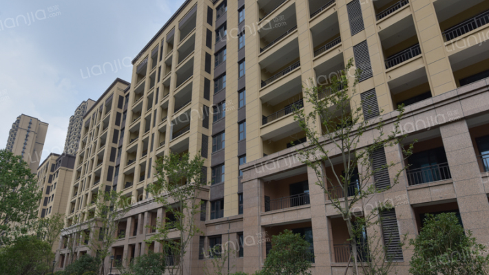 四季金辉外景图