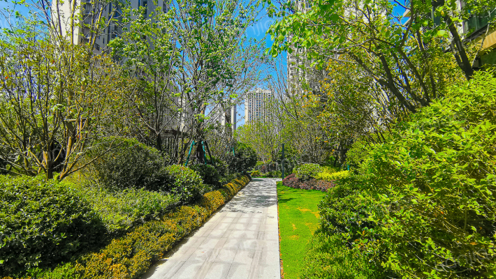 康桥悦城7号院外景图