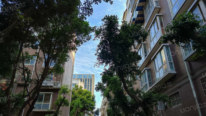 华韵庭苑外景图