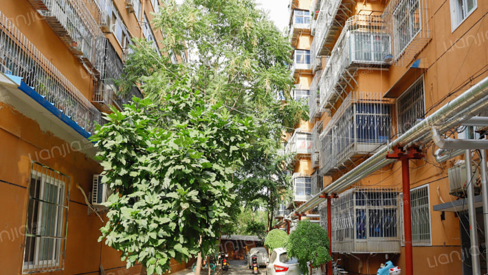 伏牛路156号院外景图