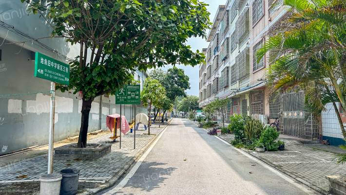 上寮旧中学新区外景图