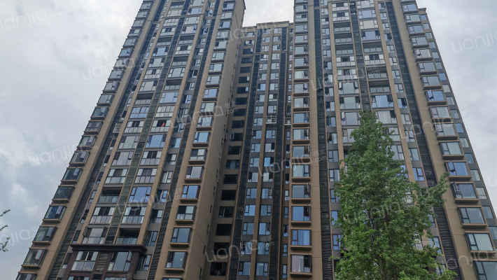 泰美蓝山外景图