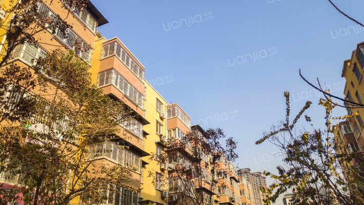 曲江池西村外景图