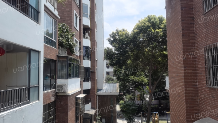 西城映画外景图