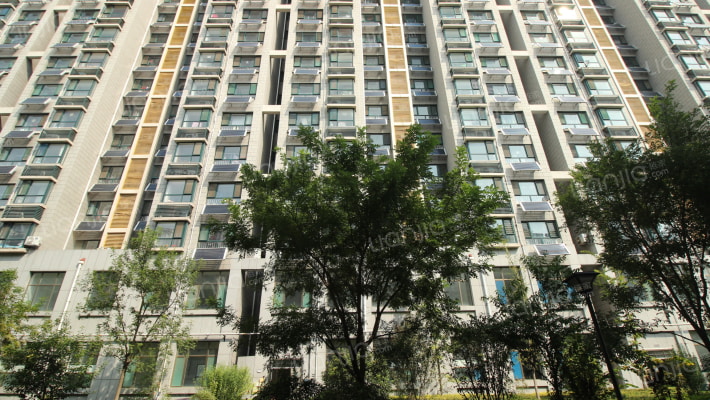 中阳金丰名苑外景图