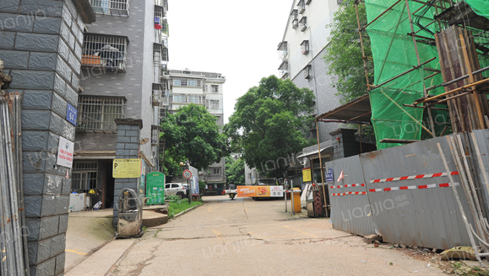 竹满人家外景图