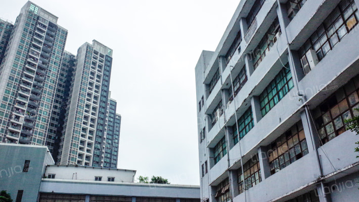 桃园路37号外景图