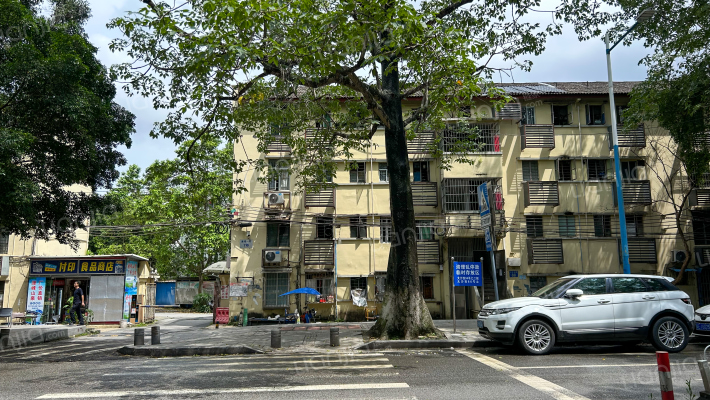 大沙地西路外景图