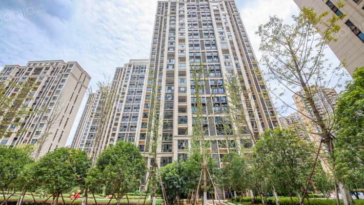 中海阳光玫瑰园外景图