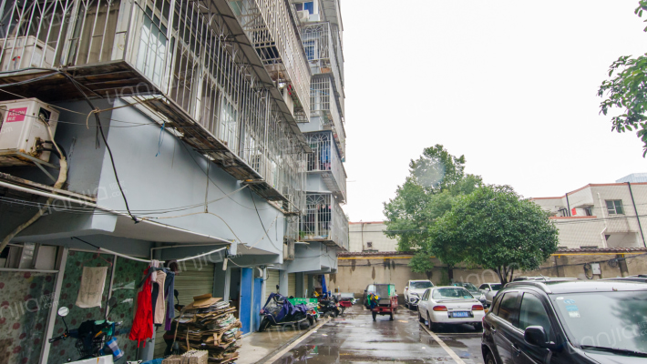 天心友园外景图