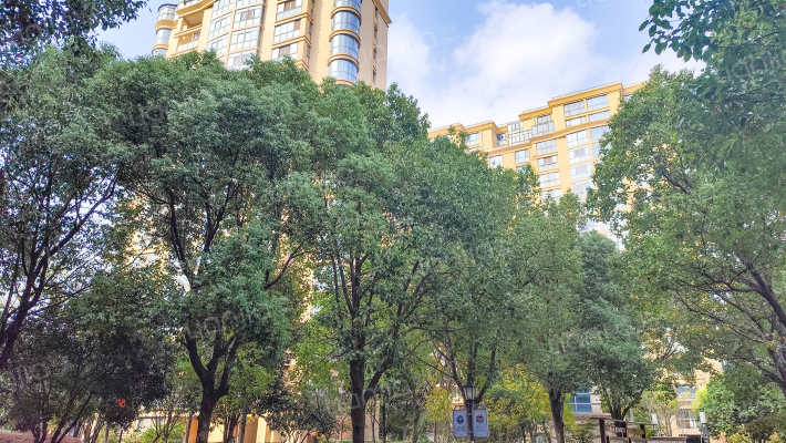 金都上品外景图