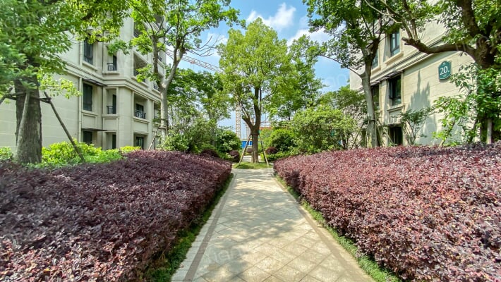 中交美庐城外景图