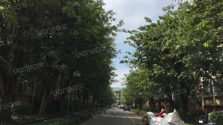 星晨花园四期外景图