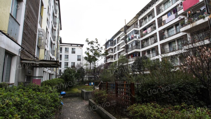 风华天城桃花林外景图