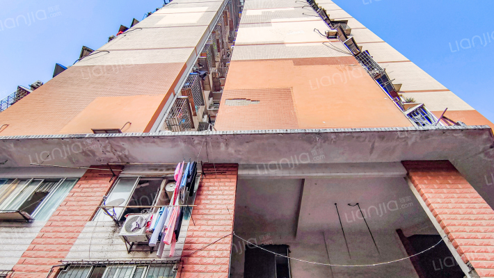 都市春天外景图