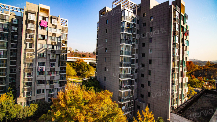 迎宾家园外景图