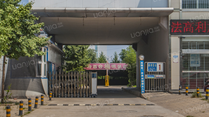 新府百合外景图