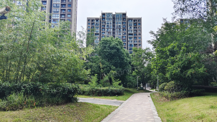 绿地国际花都外景图