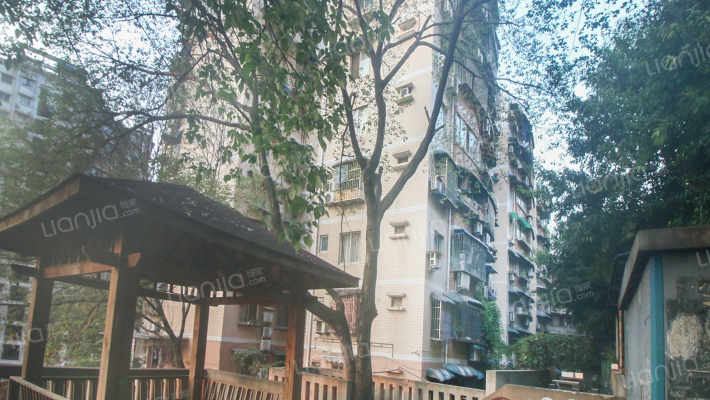 图强村434号外景图