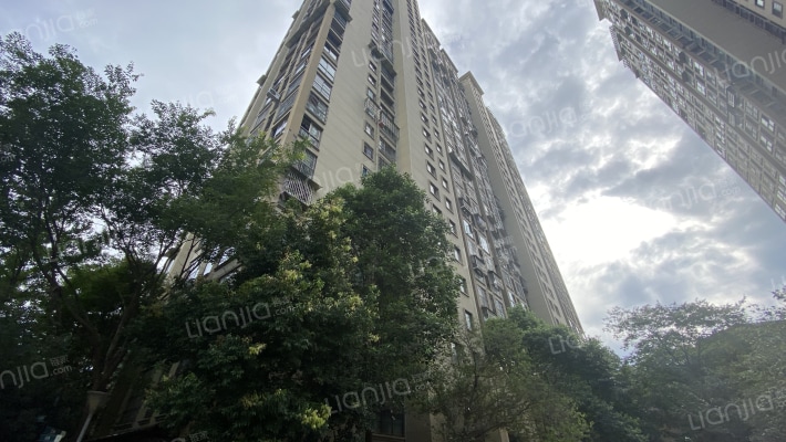 天成国际花半里小区外景图