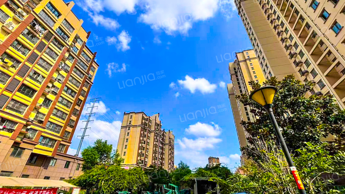 团结花园外景图