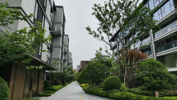 天阳云栖凤鸣外景图