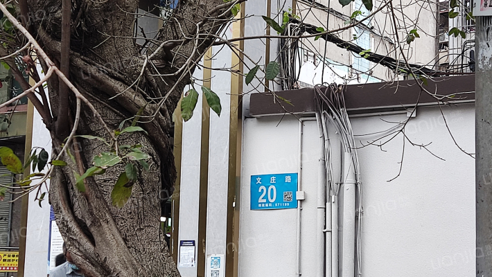 政府机关大院外景图