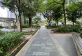 泊林16